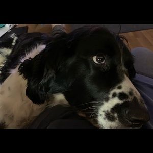 Meet your Posher, Jeffery